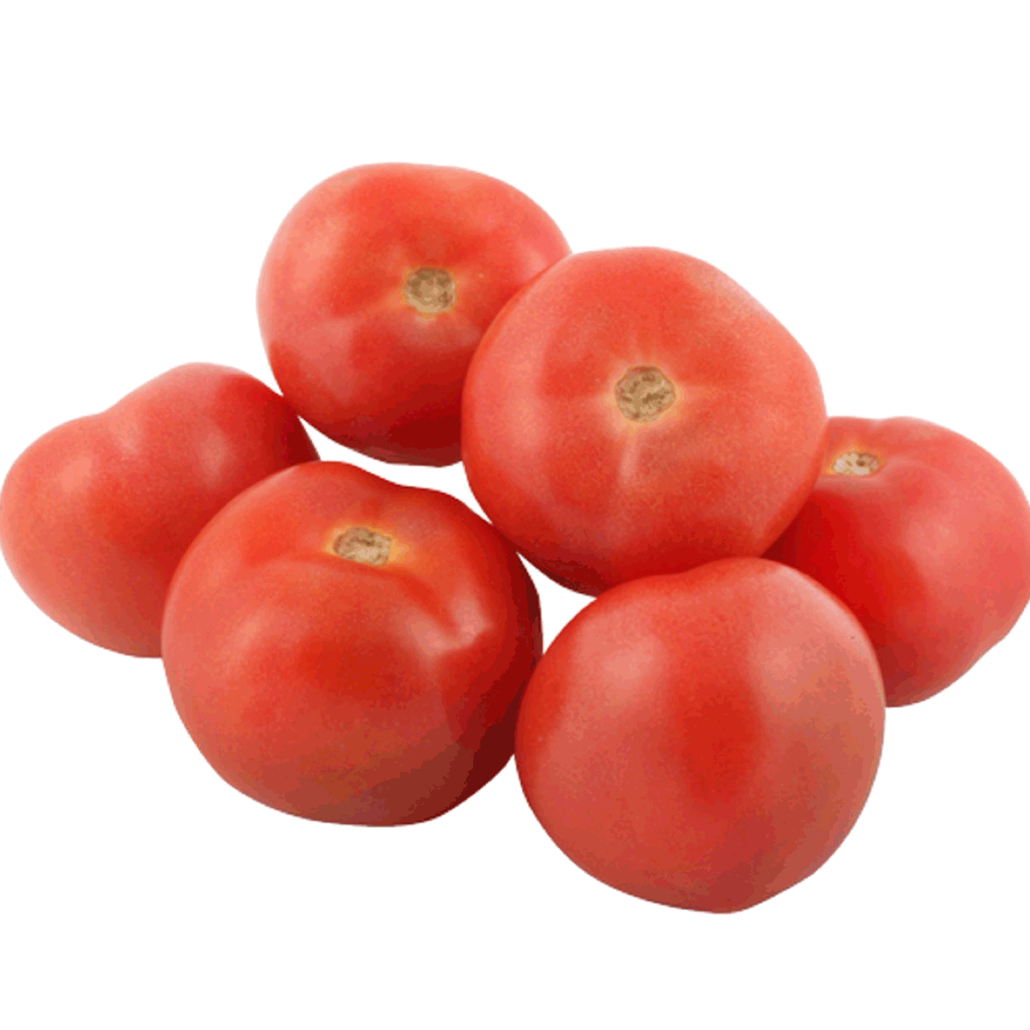 Tomate