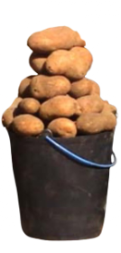 Batata Rena
