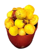 Maracujá Nacional