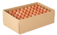 Ovo Castanho