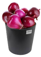 Cebola Roxa