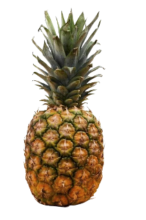 Ananás